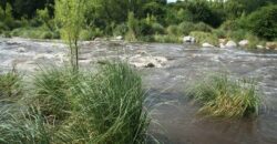 Imponente chalet con piscina infinita y costa de río en El Alto de Nono (RETASADA)