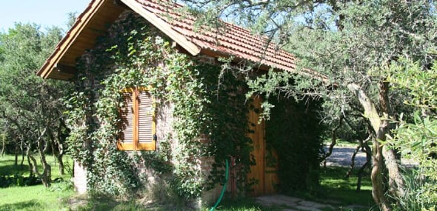 Imponente chalet con piscina infinita y costa de río en El Alto de Nono (RETASADA)