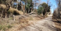 Terreno 1.516 m2 en calle Los Cardenales Nono