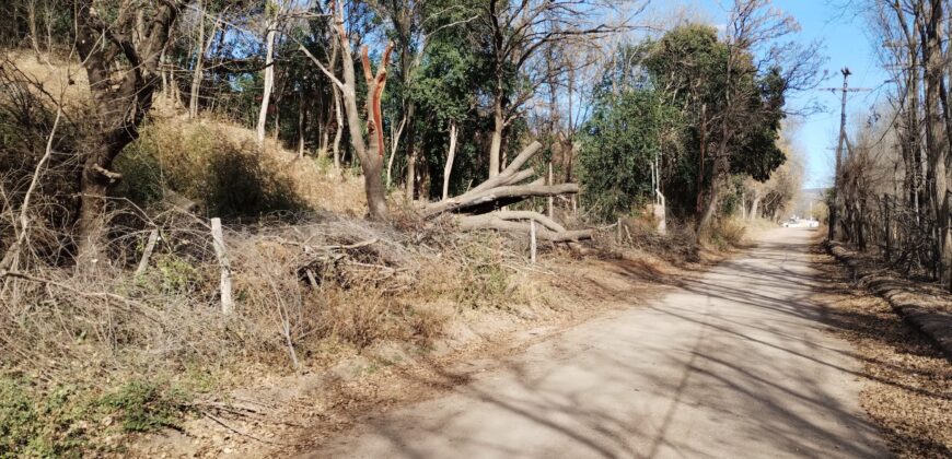 Terreno 1.516 m2 en calle Los Cardenales Nono