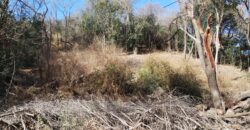 Terreno 1.516 m2 en calle Los Cardenales Nono