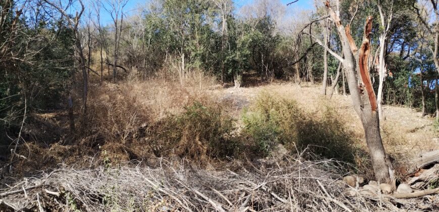 Terreno 1.516 m2 en calle Los Cardenales Nono