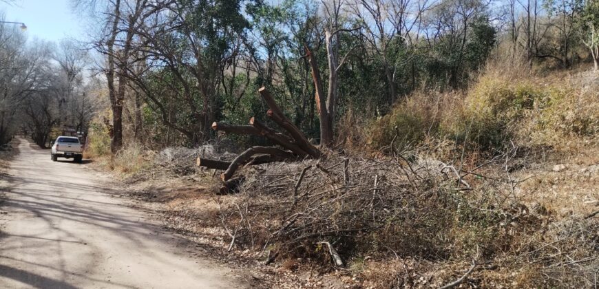 Terreno 1.516 m2 en calle Los Cardenales Nono