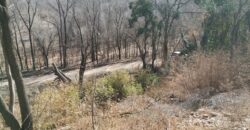 Terreno 1.516 m2 en calle Los Cardenales Nono