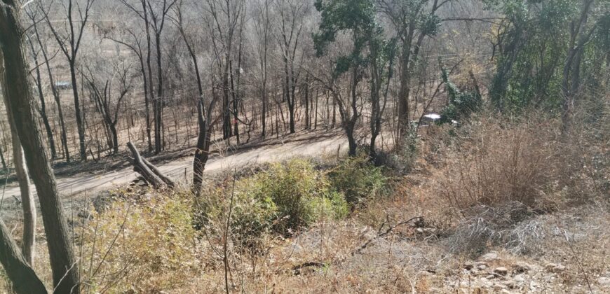 Terreno 1.516 m2 en calle Los Cardenales Nono