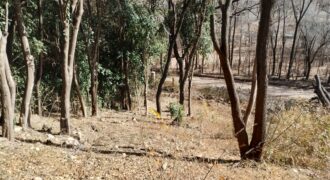 Terreno 1.516 m2 en calle Los Cardenales Nono