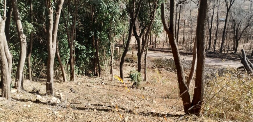 Terreno 1.516 m2 en calle Los Cardenales Nono