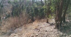 Terreno 1.516 m2 en calle Los Cardenales Nono
