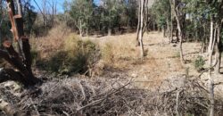 Terreno 1.516 m2 en calle Los Cardenales Nono
