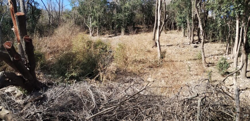 Terreno 1.516 m2 en calle Los Cardenales Nono
