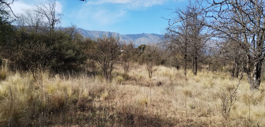 Fracción terreno baldío 14. 960 m2 con frente sobre ruta en Nono