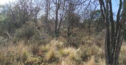 Fracción terreno baldío 14. 960 m2 con frente sobre ruta en Nono