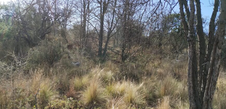 Fracción terreno baldío 14. 960 m2 con frente sobre ruta en Nono