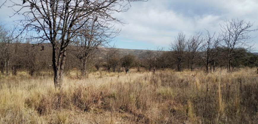 Fracción terreno baldío 14. 960 m2 con frente sobre ruta en Nono