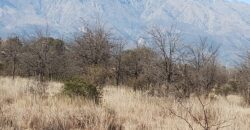 Fracción terreno baldío 14. 960 m2 con frente sobre ruta en Nono