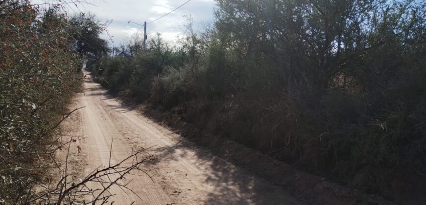 Fracción terreno baldío 14. 960 m2 con frente sobre ruta en Nono
