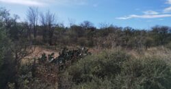 Fracción terreno baldío 14. 960 m2 con frente sobre ruta en Nono