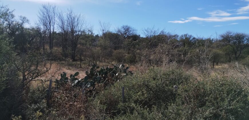 Fracción terreno baldío 14. 960 m2 con frente sobre ruta en Nono