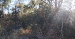 Terreno Baldío Camino a Boca del río en Las Tapias