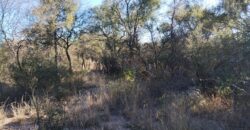 Terreno Baldío Camino a Boca del río en Las Tapias