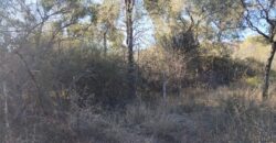 Terreno Baldío Camino a Boca del río en Las Tapias
