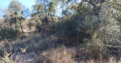 Terreno Baldío Camino a Boca del río en Las Tapias