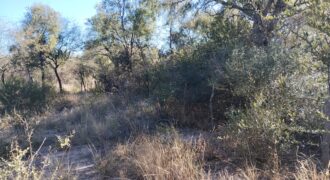 Terreno Baldío Camino a Boca del río en Las Tapias