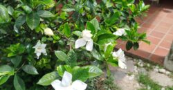 Casa con departamento independiente en Mina Clavero