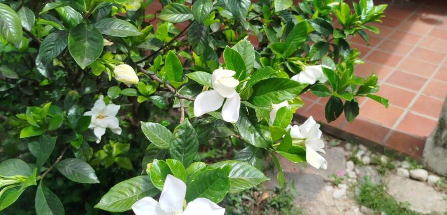 Casa con departamento independiente en Mina Clavero