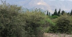 Lotes en Los Hornillos con vegetación autóctona y vistas a las sierras