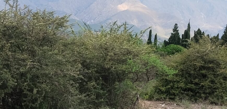 Lotes en Los Hornillos con vegetación autóctona y vistas a las sierras