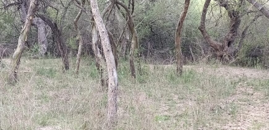 Lotes en Los Hornillos con vegetación autóctona y vistas a las sierras