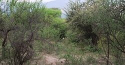 Lotes en Los Hornillos con vegetación autóctona y vistas a las sierras