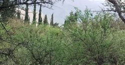 Lotes en Los Hornillos con vegetación autóctona y vistas a las sierras