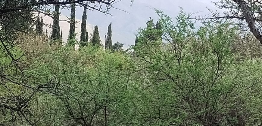 Lotes en Los Hornillos con vegetación autóctona y vistas a las sierras