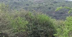 Lotes en Los Hornillos con vegetación autóctona y vistas a las sierras