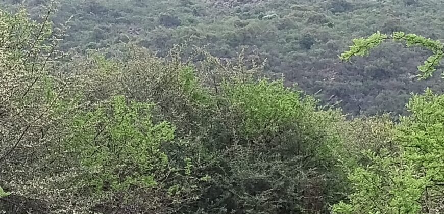 Lotes en Los Hornillos con vegetación autóctona y vistas a las sierras