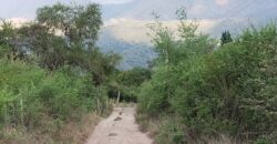 Lotes en Los Hornillos con vegetación autóctona y vistas a las sierras