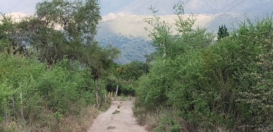 Lotes en Los Hornillos con vegetación autóctona y vistas a las sierras