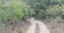 Lotes en Los Hornillos con vegetación autóctona y vistas a las sierras