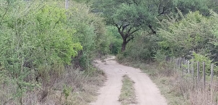 Lotes en Los Hornillos con vegetación autóctona y vistas a las sierras