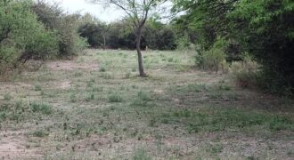 Lotes en Los Hornillos con vegetación autóctona y vistas a las sierras