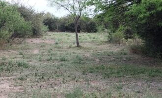 Lotes en Los Hornillos con vegetación autóctona y vistas a las sierras