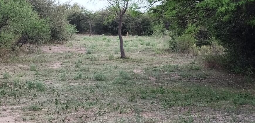 Lotes en Los Hornillos con vegetación autóctona y vistas a las sierras