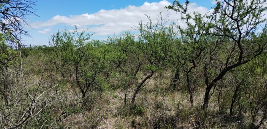 Lote de terreno esquina en Las Rabonas con lindas vistas