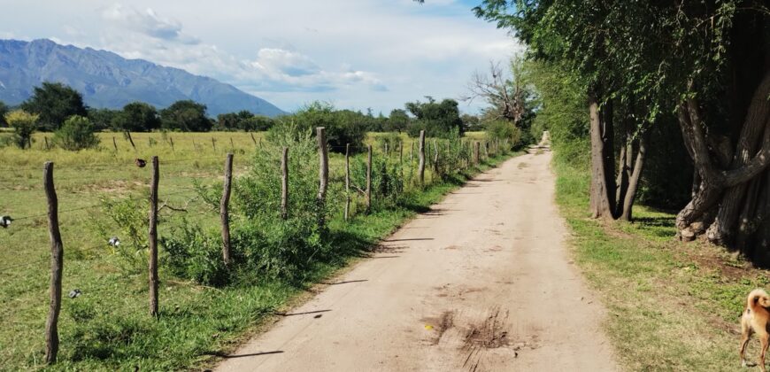 Chalet nuevo de 2 dormitorios con lindas vistas en «El Alto» Nono