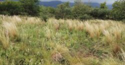 Terreno baldío esquina en barrio El Tajamar Las Rabonas