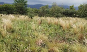 Terreno baldío esquina en barrio El Tajamar Las Rabonas