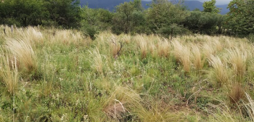 Terreno baldío esquina en barrio El Tajamar Las Rabonas