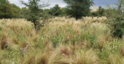 Terreno baldío esquina en barrio El Tajamar Las Rabonas